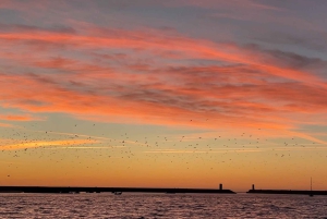 Porto: Rejs po rzece Douro (2 godz.) – wino i malownicze widoki