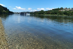 Porto : Croisière d'automne sur le Douro avec dégustation de vin de Porto