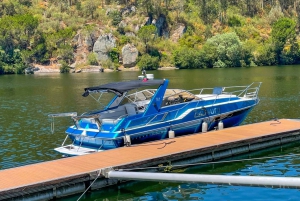 Porto : croisière privée avec vin local, collation et 6 ponts