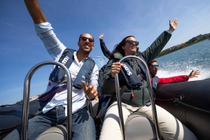 Porto: Douro River Speedboat Tour