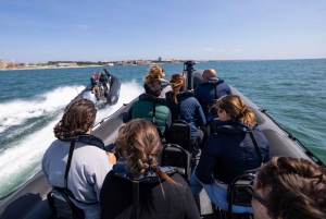 Porto: Douro River Speedboat Tour