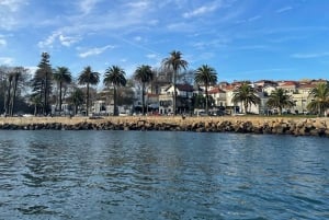 Porto: Cruzeiro Privado em Iate no Rio Douro com Degustação