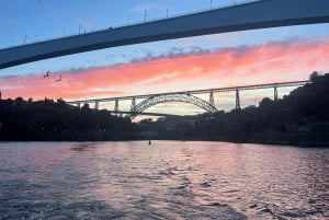 Porto: Cruzeiro Privado em Iate no Rio Douro com Degustação