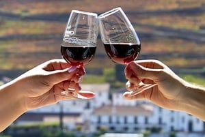 From Porto: 2 Wine Regions, Farm Lunch, and Boat Ride