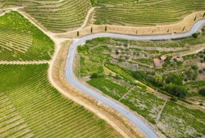 From Porto: 2 Wine Regions, Farm Lunch, and Boat Ride
