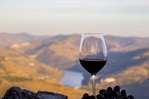 From Porto: 2 Wine Regions, Farm Lunch, and Boat Ride