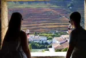 From Porto: 2 Wine Regions, Farm Lunch, and Boat Ride