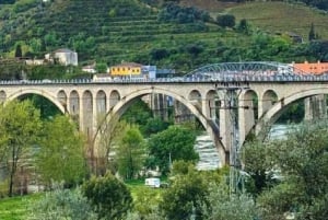 From Porto: 2 Wine Regions, Farm Lunch, and Boat Ride