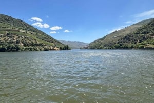 From Porto: 2 Wine Regions, Farm Lunch, and Boat Ride