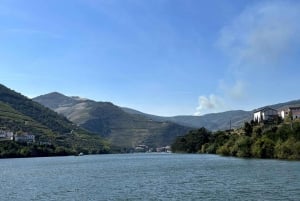 From Porto: 2 Wine Regions, Farm Lunch, and Boat Ride