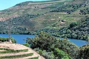 From Porto: 2 Wine Regions, Farm Lunch, and Boat Ride