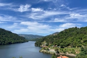 From Porto: 2 Wine Regions, Farm Lunch, and Boat Ride