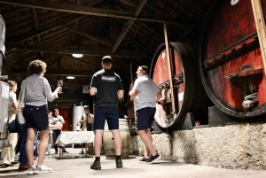 Porto: Dourovallei, 2 wijnhuizen, lunch & privéboottocht