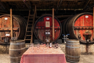 Porto: Dourovallei, 2 wijnhuizen, lunch & privéboottocht