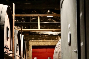 Porto: Dourovallei, 2 wijnhuizen, lunch & privéboottocht