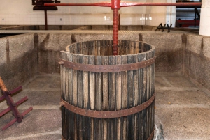 Porto: Dourovallei, 2 wijnhuizen, lunch & privéboottocht