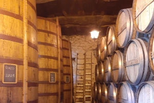 Porto: Dourovallei, 2 wijnhuizen, lunch & privéboottocht