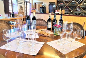 Porto: Dourovallei, 2 wijnhuizen, lunch & privéboottocht