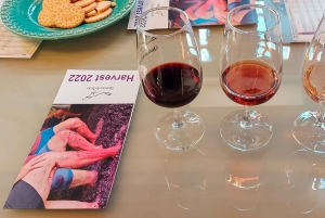 Porto: Dourovallei, 2 wijnhuizen, lunch & privéboottocht