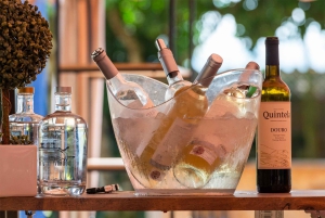 Porto: Dourovallei, 2 wijnhuizen, lunch & privéboottocht