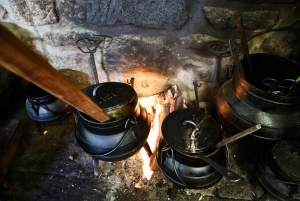 Porto: Dourovallei, 2 wijnhuizen, lunch & privéboottocht