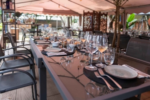 Porto: Dourovallei, 2 wijnhuizen, lunch & privéboottocht