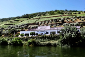 Porto: Dourovallei, 2 wijnhuizen, lunch & privéboottocht