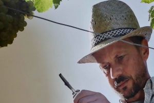 Porto: Dourovallei, 2 wijnhuizen, lunch & privéboottocht