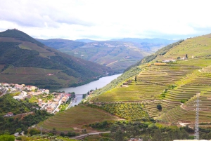 Porto: Dourovallei, 2 wijnhuizen, lunch & privéboottocht