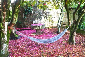 Porto: Dourovallei, 2 wijnhuizen, lunch & privéboottocht