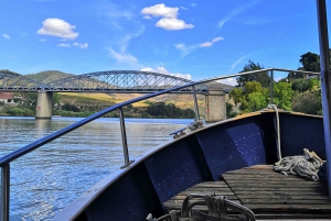 Porto: Dourovallei, 2 wijnhuizen, lunch & privéboottocht