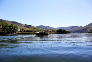 Porto: Dourovallei, 2 wijnhuizen, lunch & privéboottocht