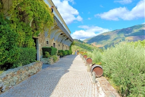 Porto: Dourovallei, 2 wijnhuizen, lunch & privéboottocht