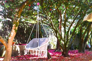 Porto: Dourovallei, 2 wijnhuizen, lunch & privéboottocht