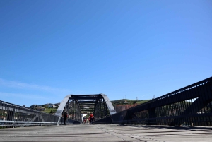 Porto: Dourovallei, 2 wijnhuizen, lunch & privéboottocht