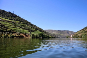 Porto: Dourovallei, 2 wijnhuizen, lunch & privéboottocht