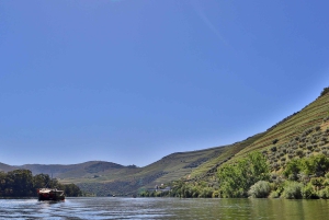 Porto: Dourovallei, 2 wijnhuizen, lunch & privéboottocht