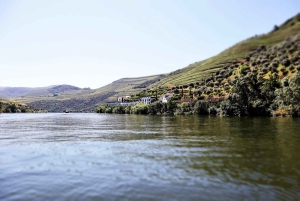 Porto: Dourovallei, 2 wijnhuizen, lunch & privéboottocht