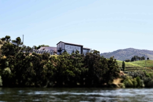 Porto: Dourovallei, 2 wijnhuizen, lunch & privéboottocht