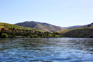 Porto: Dourovallei, 2 wijnhuizen, lunch & privéboottocht