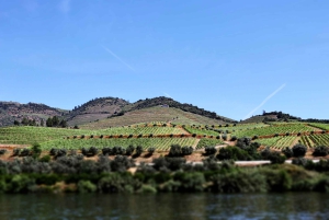 Porto: Dourovallei, 2 wijnhuizen, lunch & privéboottocht