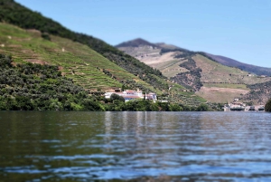 Porto: Dourovallei, 2 wijnhuizen, lunch & privéboottocht