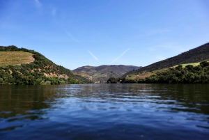 Porto: Dourovallei, 2 wijnhuizen, lunch & privéboottocht