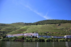 Porto: Dourovallei, 2 wijnhuizen, lunch & privéboottocht