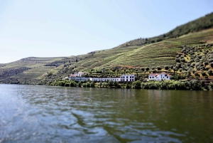 Porto: Dourovallei, 2 wijnhuizen, lunch & privéboottocht