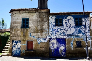 Porto: Dourovallei, 2 wijnhuizen, lunch & privéboottocht