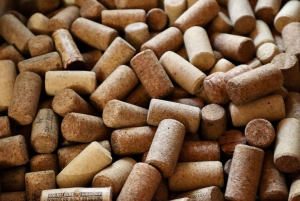 Porto: Dourovallei, 2 wijnhuizen, lunch & privéboottocht