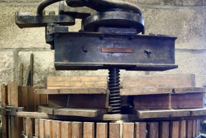 Porto: Dourovallei, 2 wijnhuizen, lunch & privéboottocht