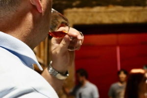 Porto: Dourovallei, 2 wijnhuizen, lunch & privéboottocht