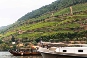 Porto: Dourovallei, 2 wijnhuizen, lunch & privéboottocht